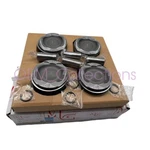 CJ5Z6108A Piston Kit 2013-2016 Ford 1.6T Escape Fusion Transit Connect. Fixed Price $136.80.