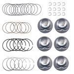 6PCS Engine Pistons Rings Set For Porsche Cayenne Vw Passat Audi Q7 VR6 3.6L Fsi. Fixed Price $153.19.