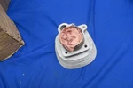 Nos Benelli 250CC Cylinder / Piston Kit, Factory, Montgomery Ward. Fixed Price $150.00.