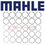 Mahle 50276CP.030 Engine Piston Ring Set For E196X30 687030 Cylinder Block Bv. Fixed Price $48.21.