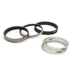Sealed Power Piston Ring Set 4.030 5/64 3/16- R934335. Fixed Price $202.85.