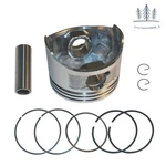 Piston With Ring Set For Honda Engine 6.5 Hp. Fixed Price $12.99.