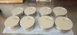 Je Pistons 257966 Bbc 540CI 4.530 Bore 4.250 Stroke 6.385 Rod Flat Top. Fixed Price $650.00.