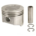 Cast Piston Sealed Power 381NP30. Fixed Price $55.79.