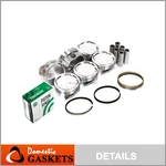 Pistons And Rings Fit Acura Isuzu 6VE1 3.5L V6 Dohc 24V. Fixed Price $394.28.