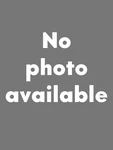New! Jaguar X-type Ferodo Front Disc Brake Pad Set C2S48022F C2S52079. Fixed Price $45.00.