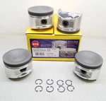 11-598-1 Npr Piston Kit 0.25 Fits Nissan 2.4L Dohc 4CYL 89.00MM KA24DE 1991-1998. Fixed Price $53.23.