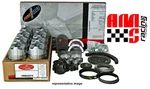 Engine Rebuild Overhaul Kit For 1967-1985 Chevrolet Gmc Truck 350 5.7L Ohv V8. Fixed Price $285.35.