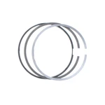 Piston Ring Kit Fits International DT466E DT530 DT570 Match Oe# 1830724C92. Fixed Price $98.99.