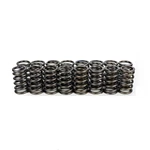 Bc For Toyota 2ZZFE Single Valve Spring. Fixed Price $98.38.
