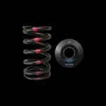 Brian Crower For Nissan SR20DE/DET Single Spring & Steel Retainer Kit BC0200S. Fixed Price $195.00.