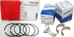Ford 6.0L Powerstroke Diesel Connecting Rod Bearings Piston 2003-2010. Fixed Price $389.99.