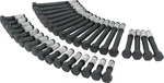 Allstar Performance ALL87000 Sb Chevy Cylinder Bolt Kit Both Heads. Fixed Price $53.99.