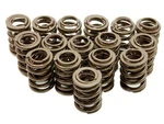 Brian Crower BC1010 Valve Spring (honda/acura B18C/B16A/B17A & Nissan KA24DE.... Fixed Price $273.95.