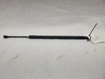 21-24 Ford Bronco Sport Rear Right Liftgate Support Strut Rod M1PBS406A10AG. Fixed Price $50.00.