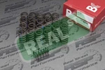 Brian Crower 90LBS Single Valve Springs Skyline RB26DETT R32 R33 R34 BC1230. Fixed Price $144.00.