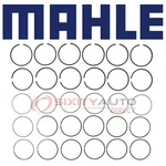 Mahle 50514CP.020 Engine Piston Ring Set For E234X20 667020 Cylinder Block Jn. Fixed Price $77.01.