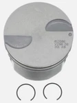 Gm Genuine Engine Piston P/n 19208675 Oem. Fixed Price $59.99.