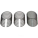 Engine Piston Ring Set Sealed Power E-1010KC. Fixed Price $98.99.