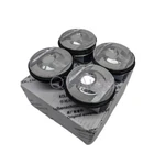 12652807 Oe Supply Pistons &rings, Pins Kit For Chevrolet 2014-2022 2.5 Colorado. Fixed Price $216.00.