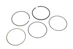 Genuine Gm Engine Piston Ring Kit 12608615. Fixed Price $12.31.