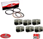 Coated Skirt Dome Pistons & Rings 1996-2009 Ford 3.0L Duratec Dohc. Fixed Price $199.00.