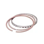 Total Seal Claimer Piston Ring CL9090 60. Fixed Price $191.96.