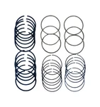 Sealed Power E-450K Engine Piston Ring Set 2M-5712 Jeep Chevrolet Gmc 1962-2000. Fixed Price $75.82.