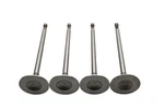 Dokuro 021-0617, 44-03496 Intake Valves Qty Nos. Fixed Price $29.99.