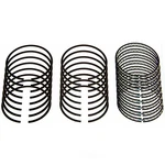 Piston Ring Set Sealed Power E318X. Fixed Price $135.12.