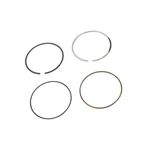 Genuine Gm Piston Rings 12691926 Standard Size Oem. Fixed Price $23.10.