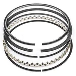 Total Seal MS4010-15 Gapless Race Piston Ring Set Bore Size: 4.615 Top. Fixed Price $530.57.