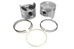 Itm RY6248-STD Set Of Four Pistons W/rings. Fixed Price $110.00.