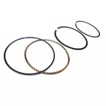 Standard Engine Piston Rings (RTC6066S) For Land Rover. Fixed Price $33.95.