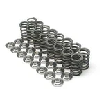 Brian Crower For Honda/acura K20A3/K24A Single Valve Springs Only - BC1050. Fixed Price $99.00.