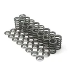 Brian Crower BC1300 Single Valve Springs For Toyota 2JZGTE/LEXUS 2JZGE. Fixed Price $143.00.
