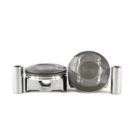 Dnj Engine Piston Set P1102.20. Fixed Price $227.12.