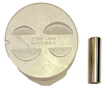 Engine Piston Sealed Power 273AP .040. Fixed Price $35.99.