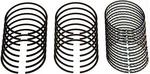 Sealed Power E-251X 30 Standard Piston Ring Set. Fixed Price $60.99.