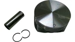 Fits 04-05 Gm Piston W/pinion 89017581 New Oem. Fixed Price $87.15.