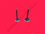 Mi-t-m 420CC 14HP 15HP Gas Engine Power Equipment Intake Exhaust Valve Set. Fixed Price $19.99.