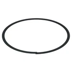 Je Pistons 4030-183 Oil Rail Support Ring. Fixed Price $27.39.