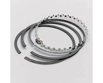 Sealed Power Performance Piston Ring Set E-299K60. Fixed Price $115.98.