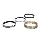 Hastings Piston Ring Set 4.165 1/16 3/16- 2M5529045. Fixed Price $159.86.