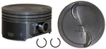 Enginetech Single Dish Top Piston For 06-17 Gm 6.0L/364 Ohv V8 Standard. Fixed Price $47.09.