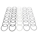 Mahle Original Premium Piston Ring Set 40564CP.040. Fixed Price $87.99.