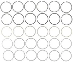 Engine Piston Ring Set Mahle 51669CP. Fixed Price $42.28.