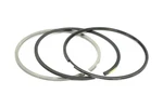 Oem Navistar International Piston Ring Kit 1830723C92. Fixed Price $145.00.