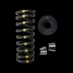 Brian Crower BC0210S Dual Spring Steel Retainer/seat Kit For Nissan KA24DE. Fixed Price $402.00.