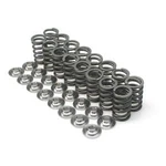 Brian Crower Dual Valve Springs For Honda/acura B18C/B16A/B17A & Nissan KA24DE. Fixed Price $274.00.